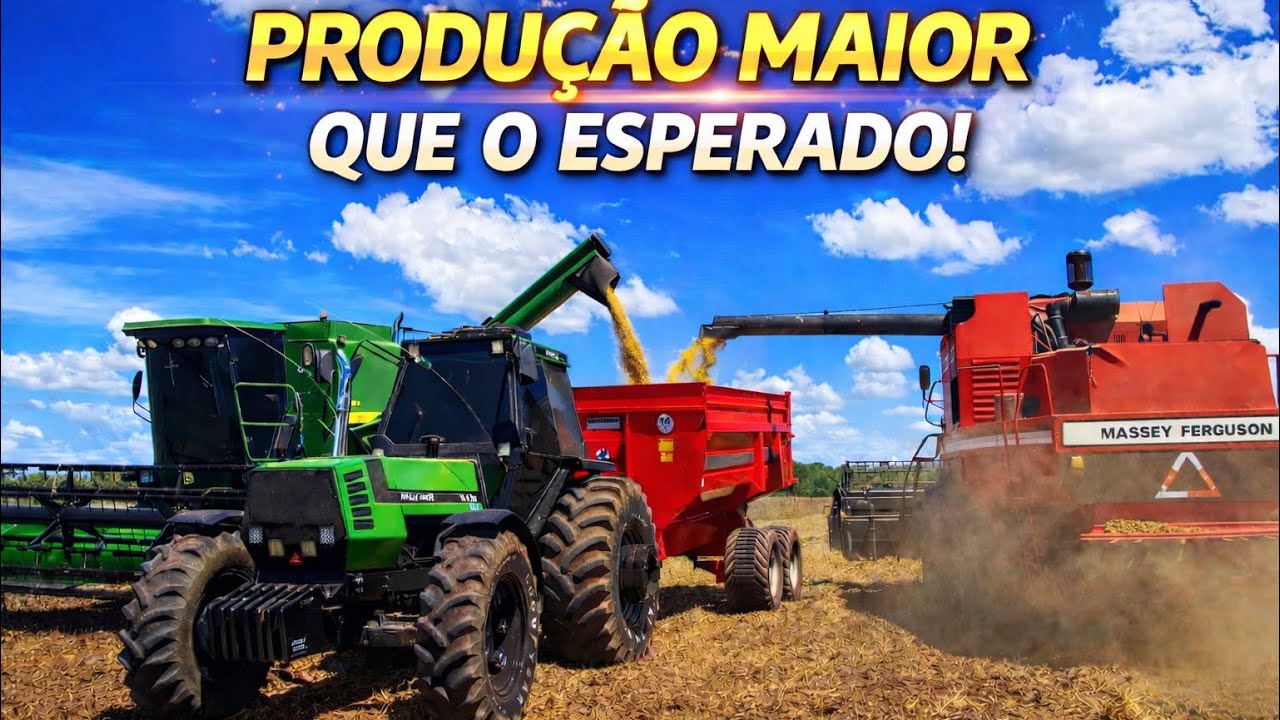 SEGUNDO DIA DE COLHEITA!