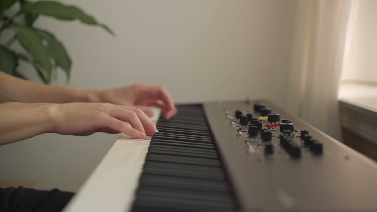 Senbonzakura // Vilhelm's Piano
