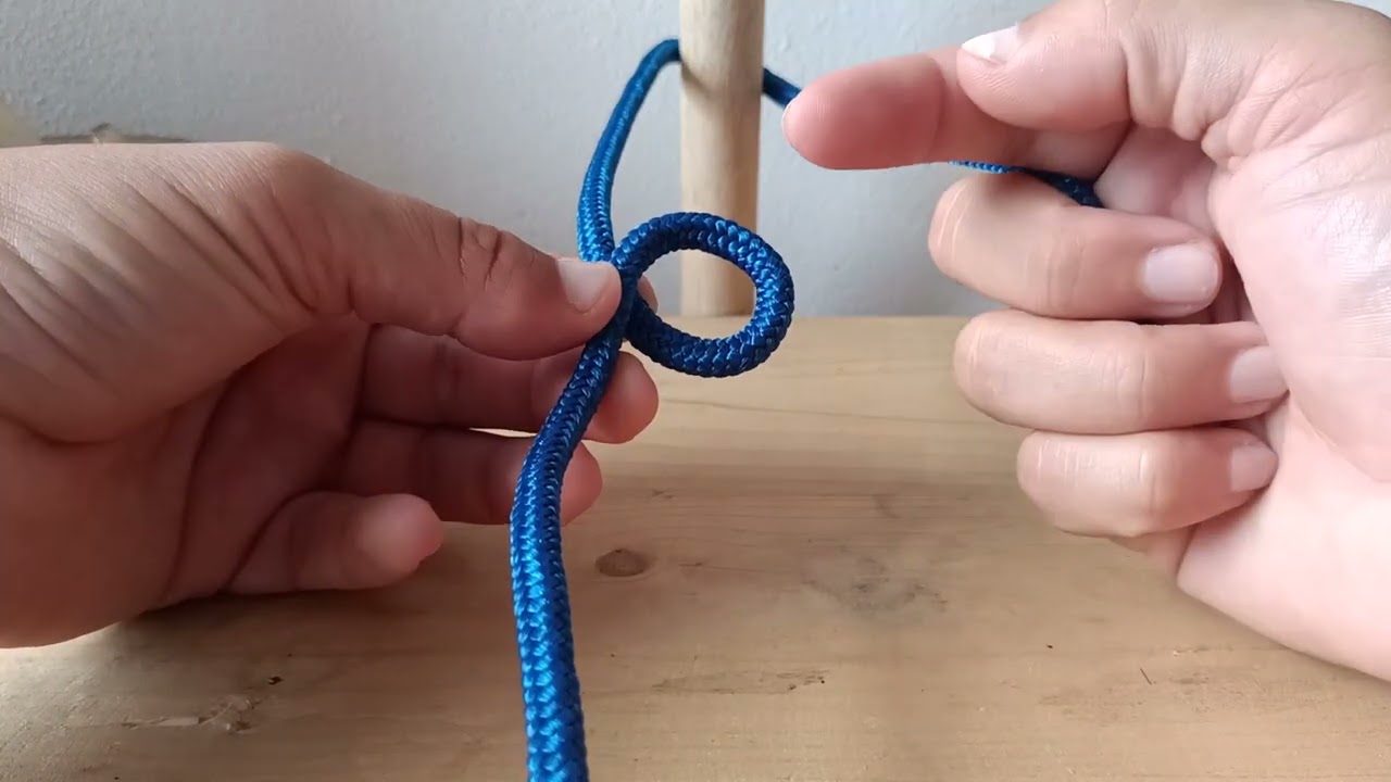 Nudo as de guía