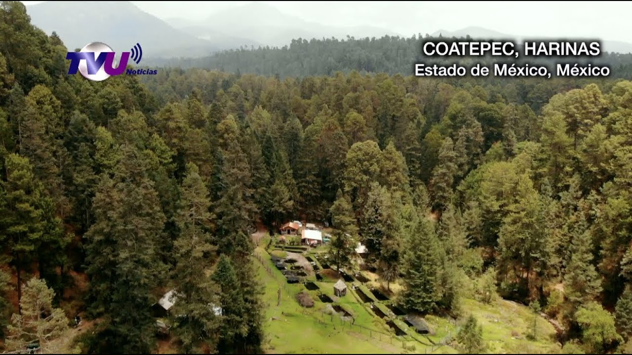 LA RUTA DE LA TRUCHA DE COATEPEC HARINAS, ESTADO DE MEXICO