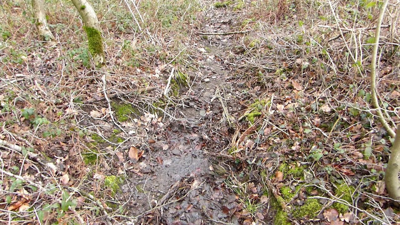 Selbecker Bach (&raquo;Blaue Donau&laquo;) &bull; Anfang Januar 2020