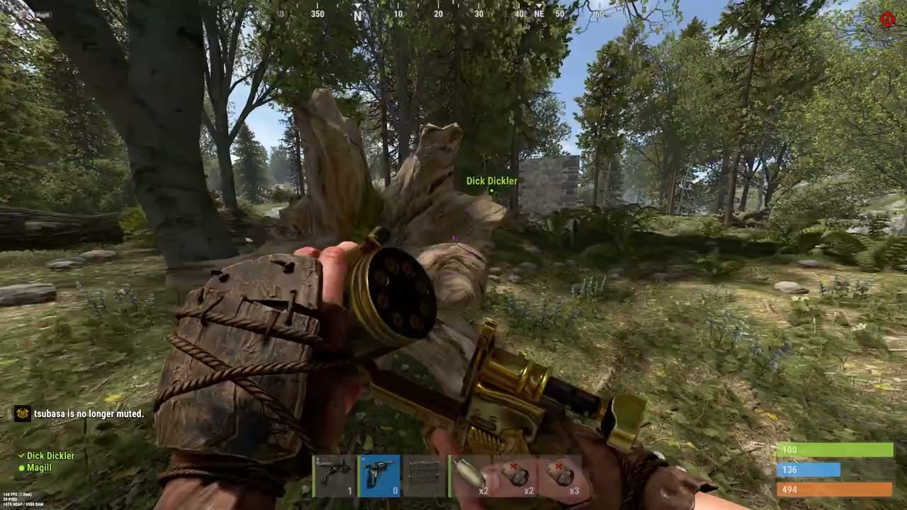 Rust