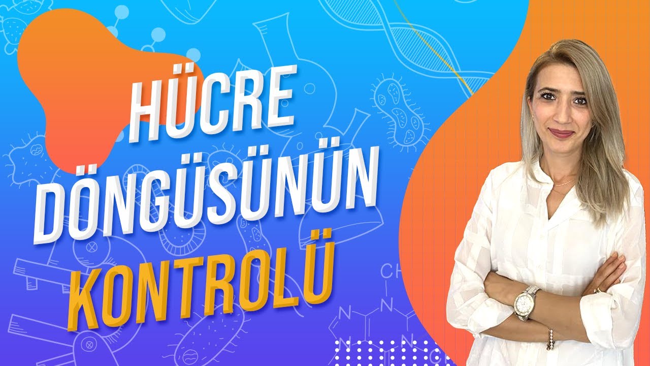 (29.DERS) HÜCRE DÖNGÜSÜNÜN KONTROLÜ | TYT 10.SINIF l Seda Hoca Biyoloji 🤗