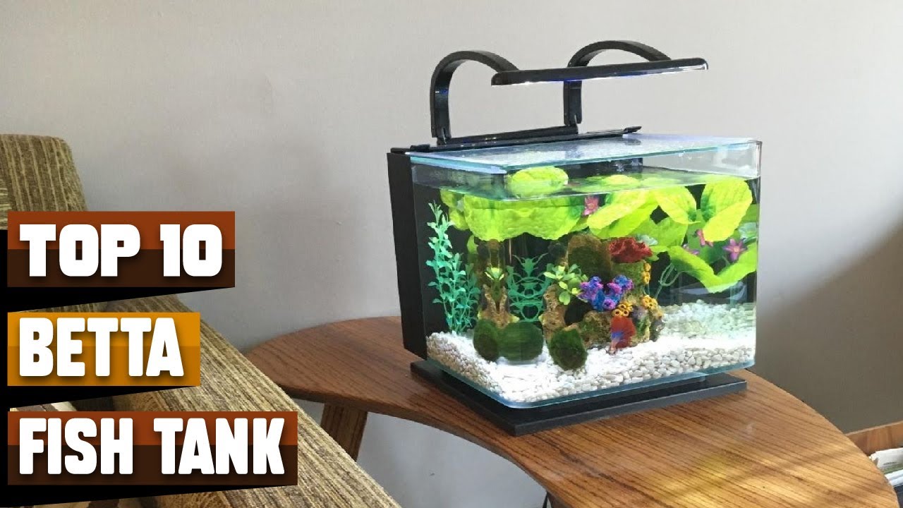 Best Selling Betta Fish Tanks in 2026 (Top 10 Picks)