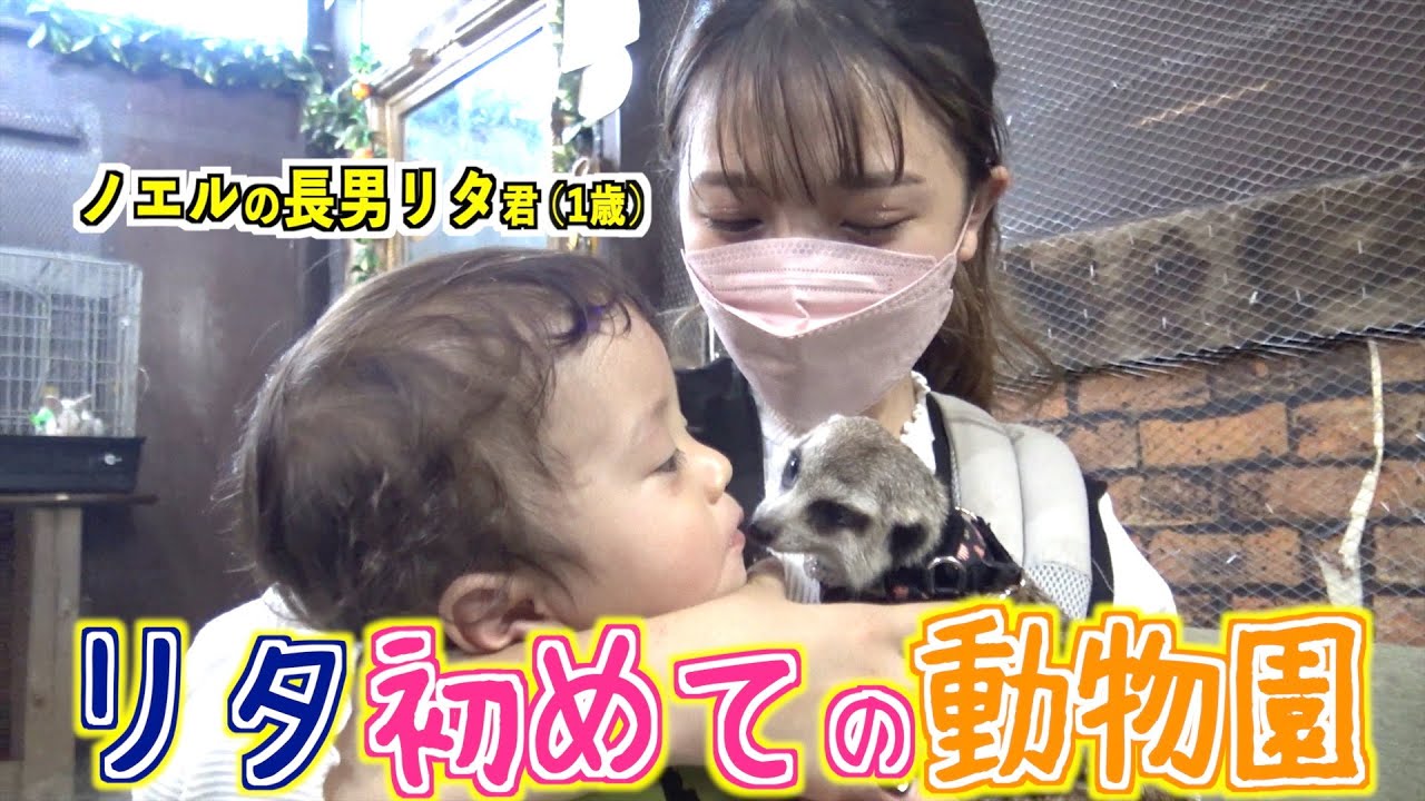【オチビーズ初体験】カワイイ動物たちと触れ合える動物園に子供たち大興奮！