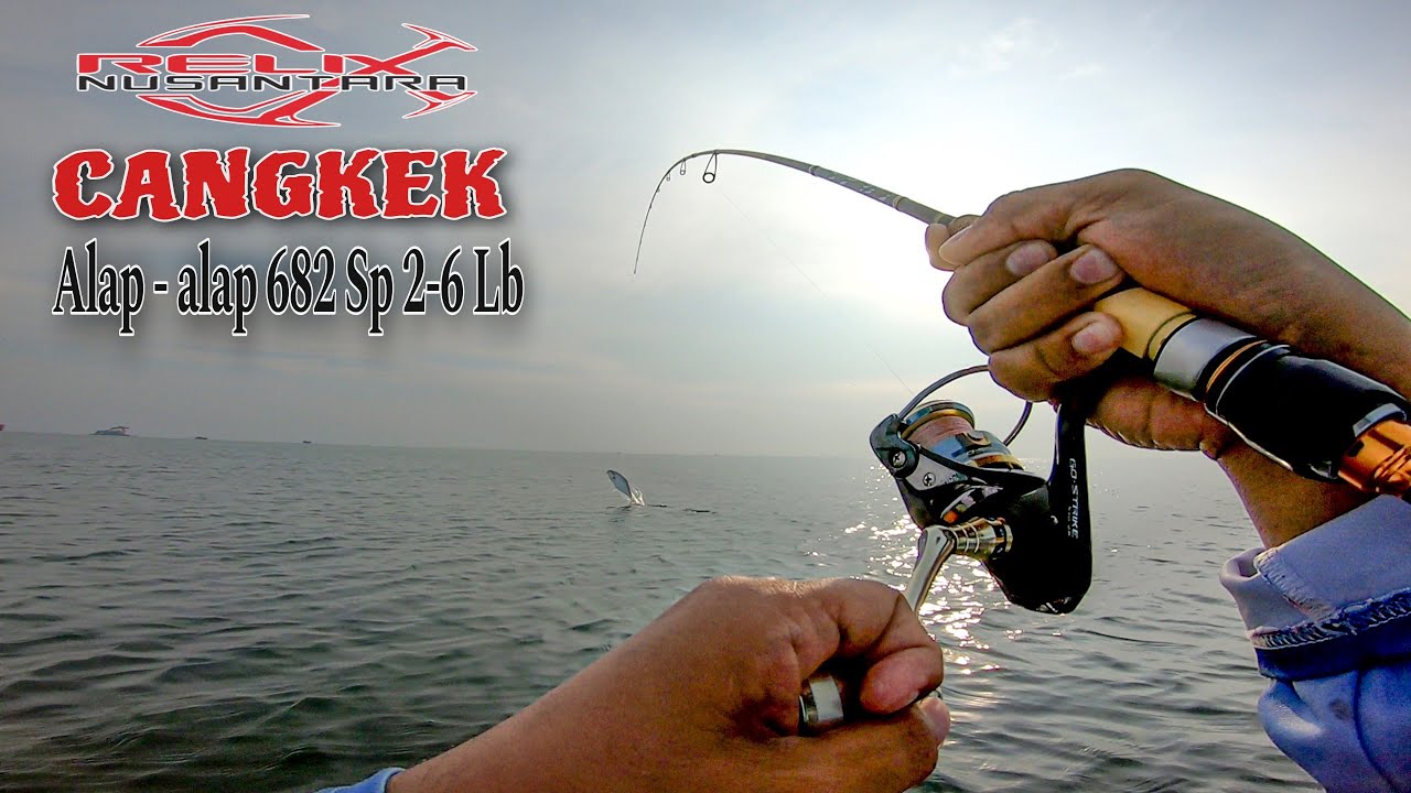 Full Strike‼️Relix Nusantara Cangkek Alap alap Di Buat Kwalahan #ultralightcasting #queenfish