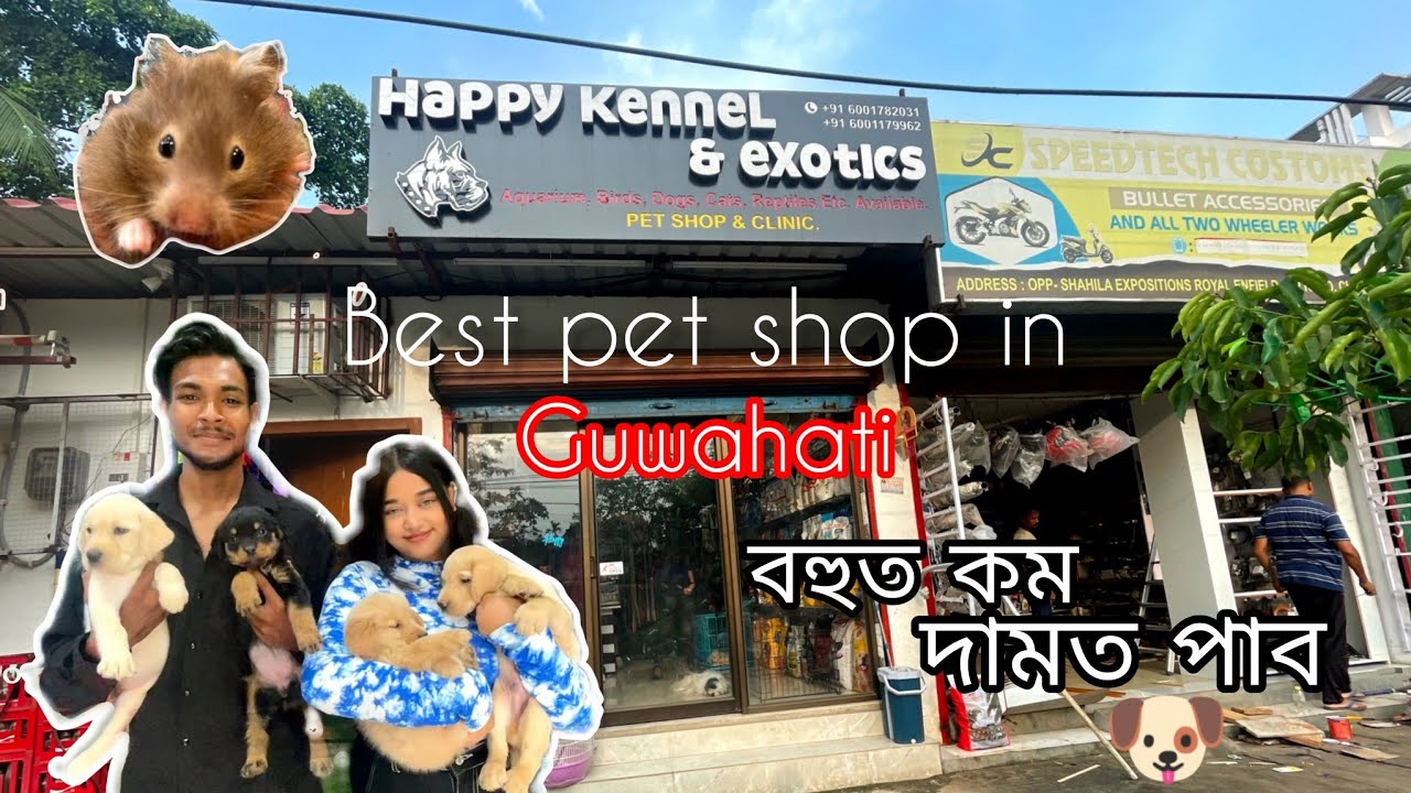 Best pet shop in Guwahati 🐶 ll cheapest price - vlogger raz