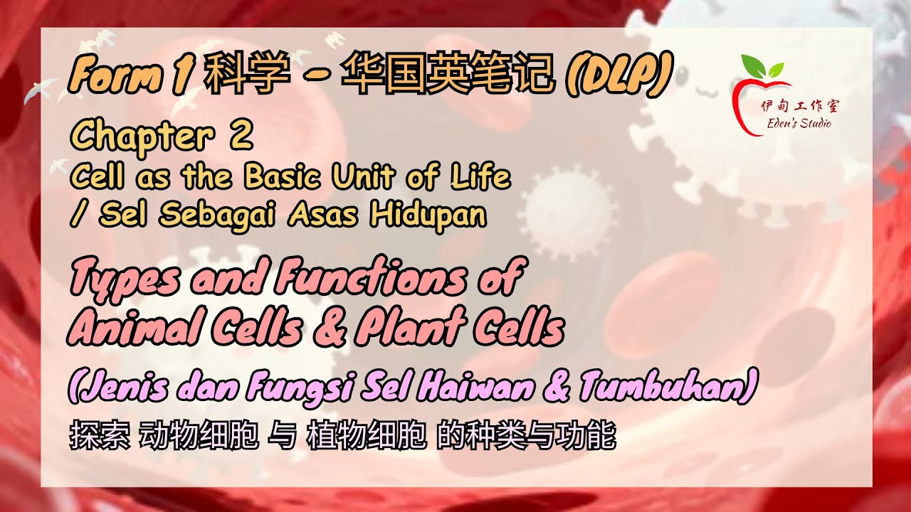 【Form 1 Science - 华国英笔记】 Chapter 2 #02 动物与植物细胞的 种类与功能 Types and Functions of Cells