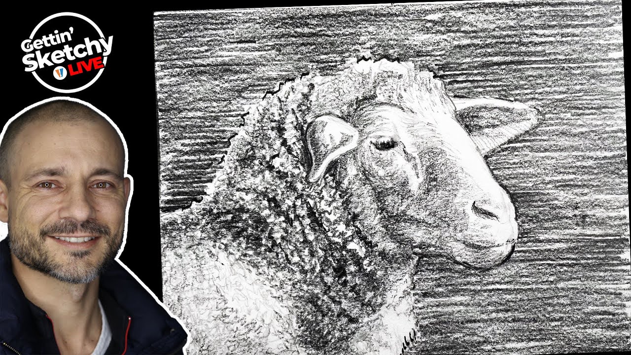 Drawing Sheep with Pencil - Live Drawing Exercise
