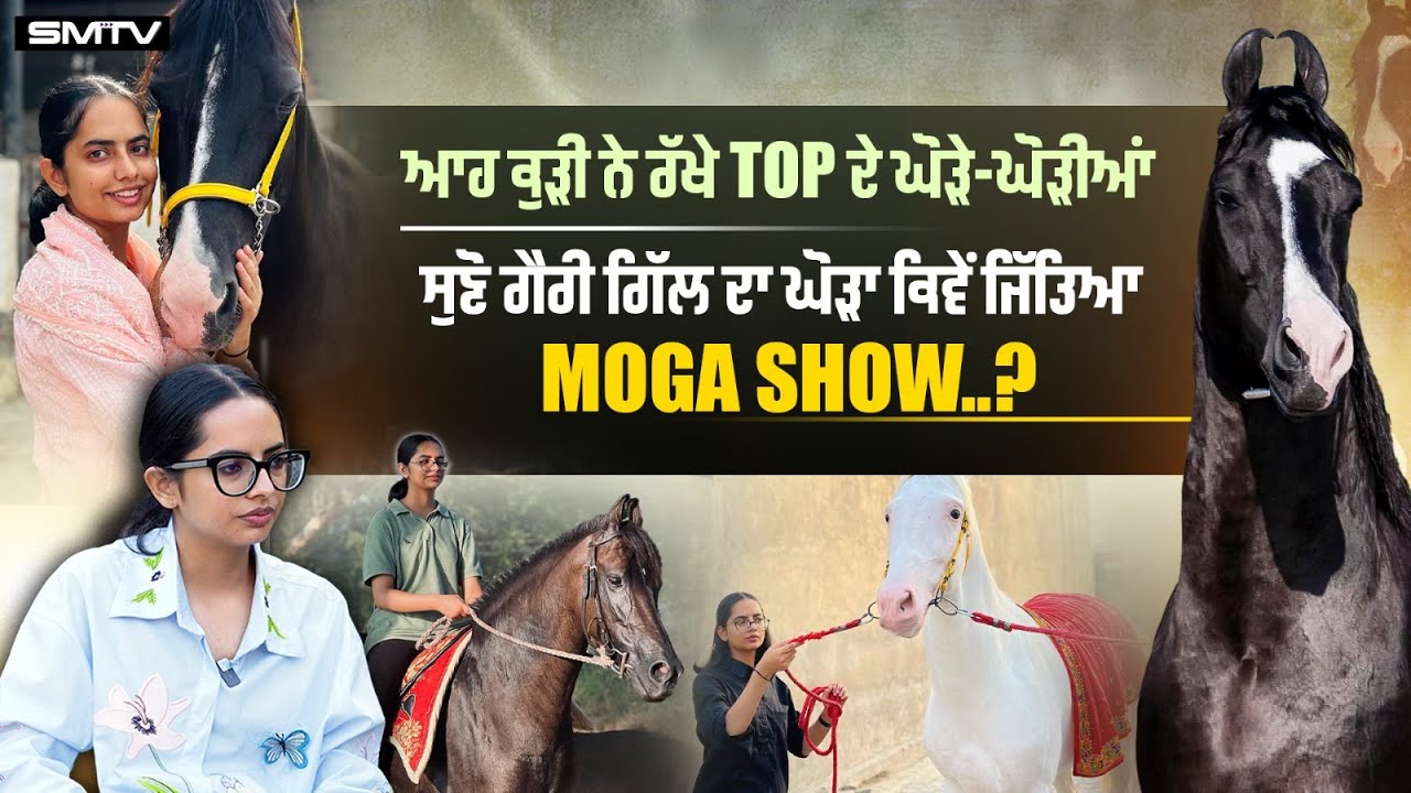ਆਹ ਕੁੜੀ ਨੇ ਰੱਖੇ Top ਦੇ ਘੋੜੇ-ਘੋੜੀਆਂ, ਸੁਣੋ ਗੈਰੀ ਗਿੱਲ ਦਾ ਘੋੜਾ ਕਿਵੇਂ ਜਿੱਤਿਆ Moga Show..?