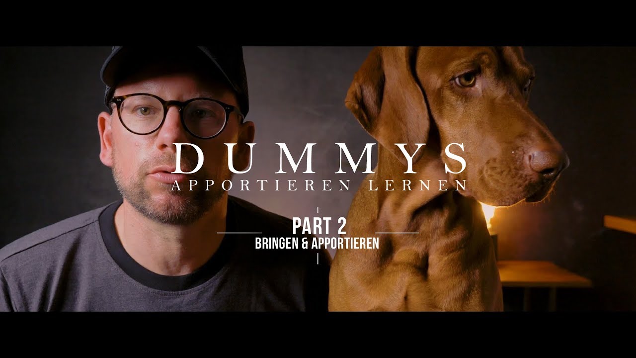 Dummys apportieren lernen - Part 2: Bringen & Apportieren