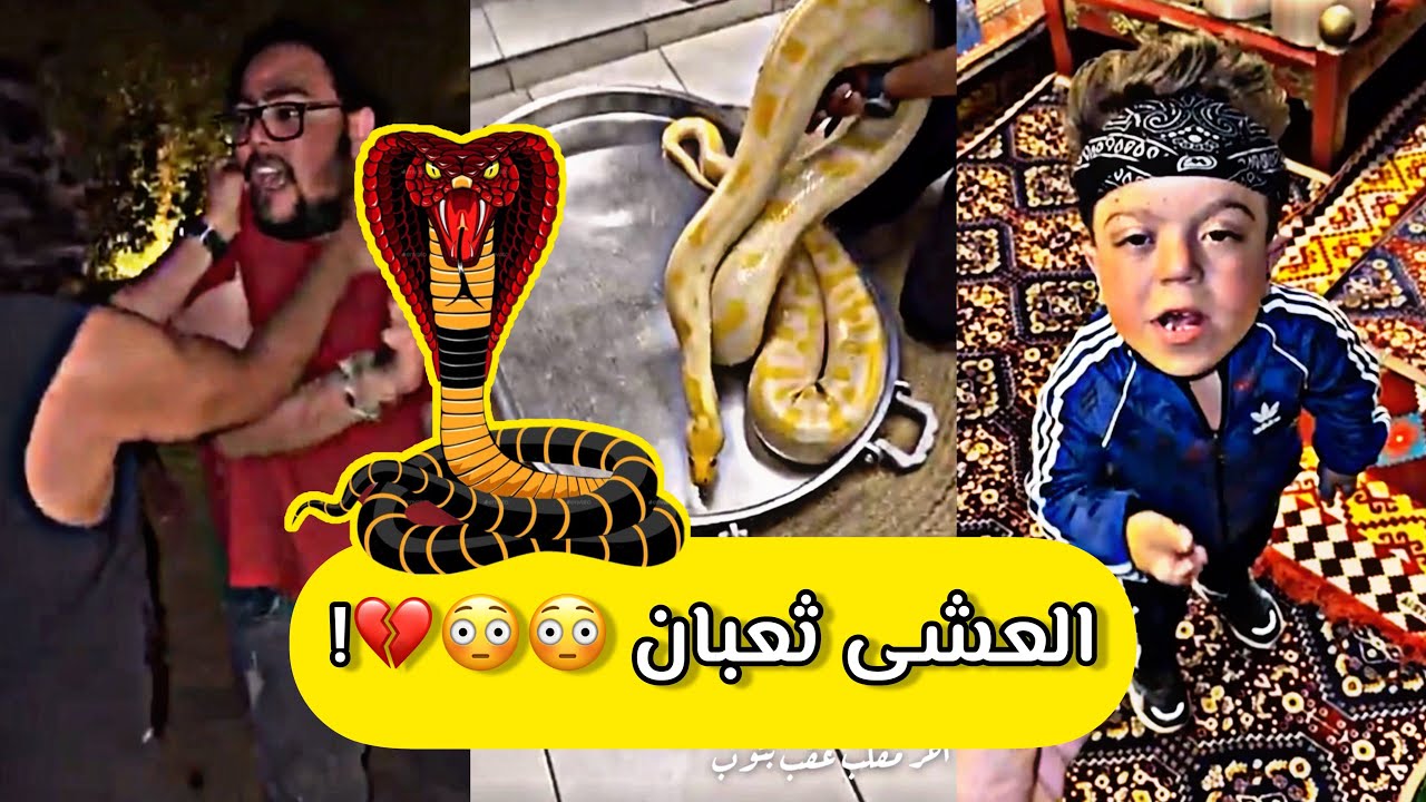 سناب مايد الانصاري حلقة [113] مقلب عشى الثعبان والتماسيح شوفو شو صار 😳😂🐊🐍