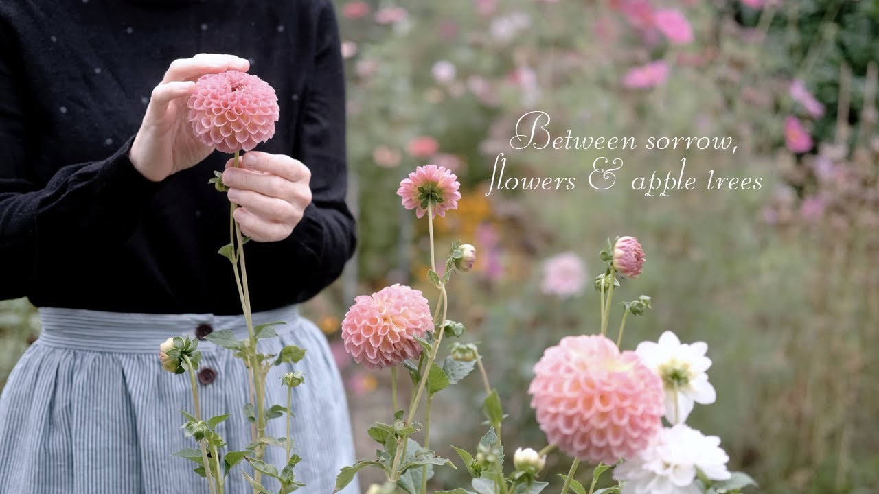 Between sorrow, flowers & apple trees