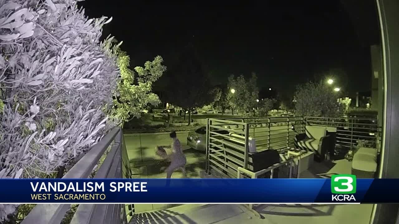 West Sacramento police look into vehicle, business vandalism reports