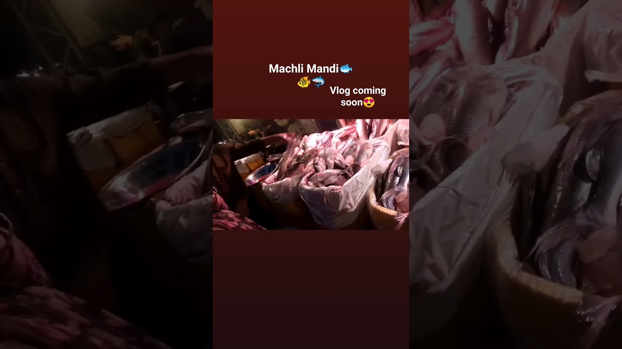 Machli Mandi Chalein? #fish #machlimandi #fishmarket #fishseason #winter #chefwajeehatariq