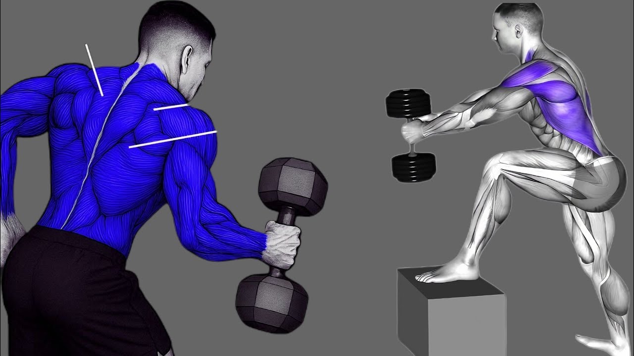 7 лучших упражнений для спины с гантелями 💪 Быстро станьте сильнее и сильнее | Дома и в спортзале