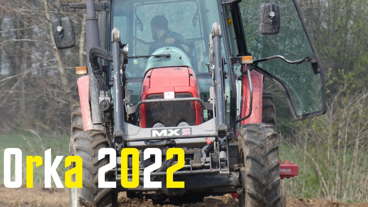 🇵🇱 Czy Massey Ferguson da radę? 100 ton obornika vs Massey Ferguson! Obornik i Orka 2k22