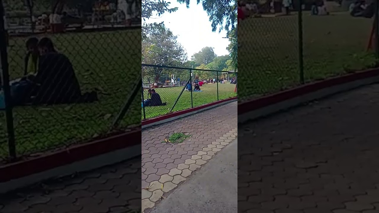#vlogs
