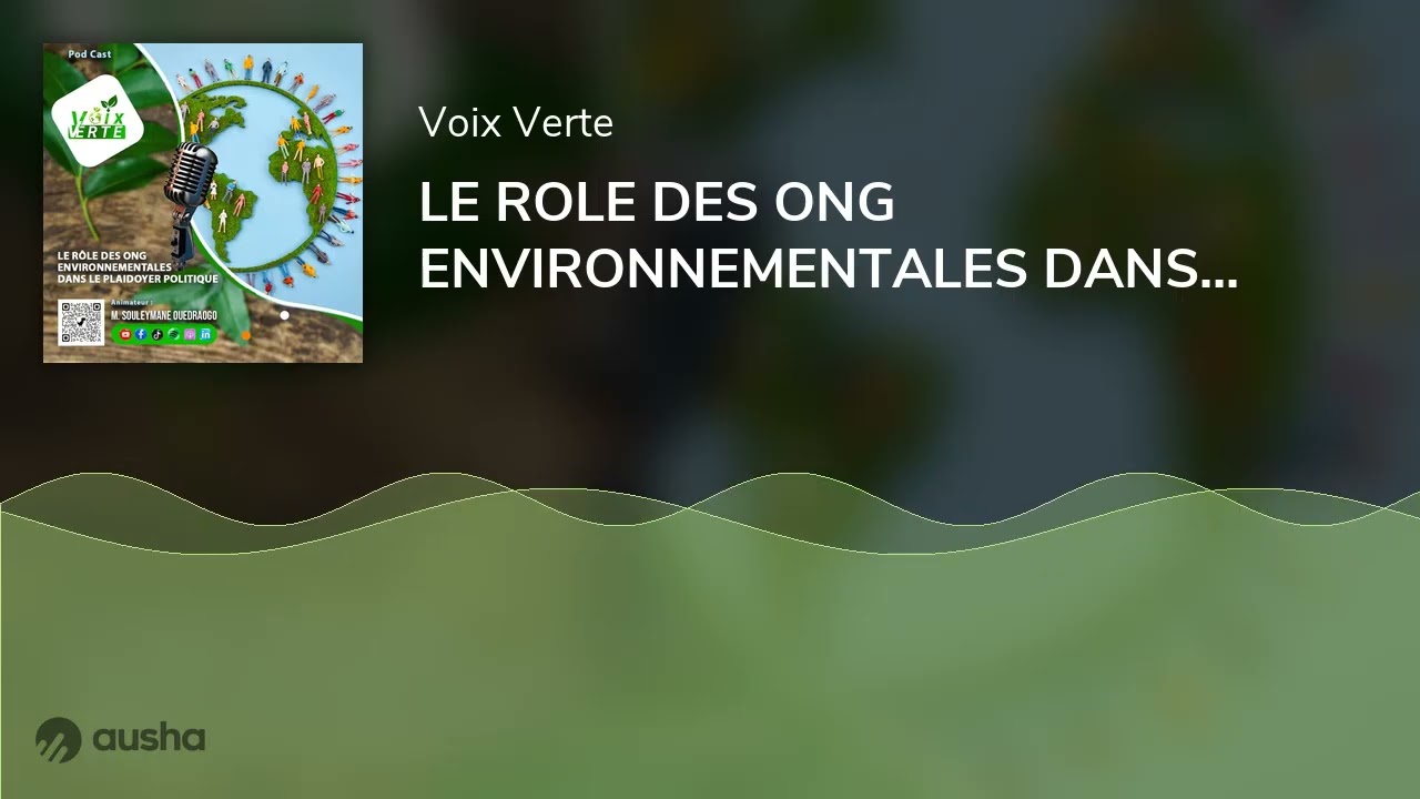 LE ROLE DES ONG ENVIRONNEMENTALES DANS LE PLAIDOYER POLITIQUE