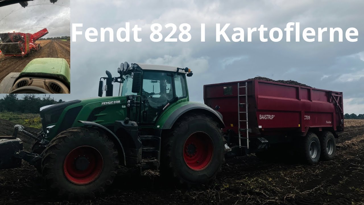 Så Kommer Kartoflerne Op | KLF Dansk Landbrug