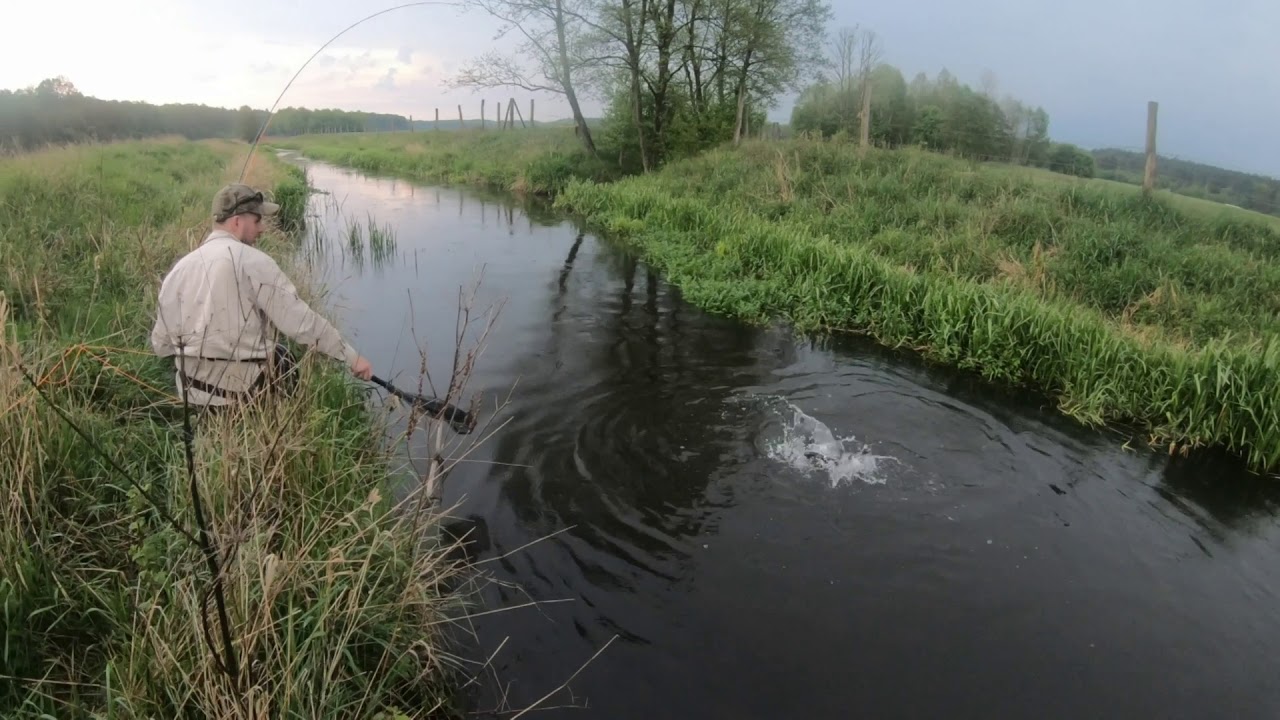 Pstrągi na suchą muchę#1 jętka majowa - fly fishing