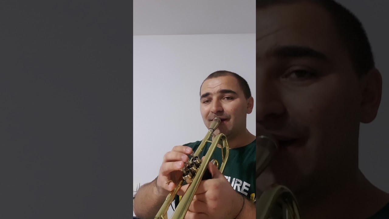 Tutorial Hora de la Bălți! Frații Ștefăneț.