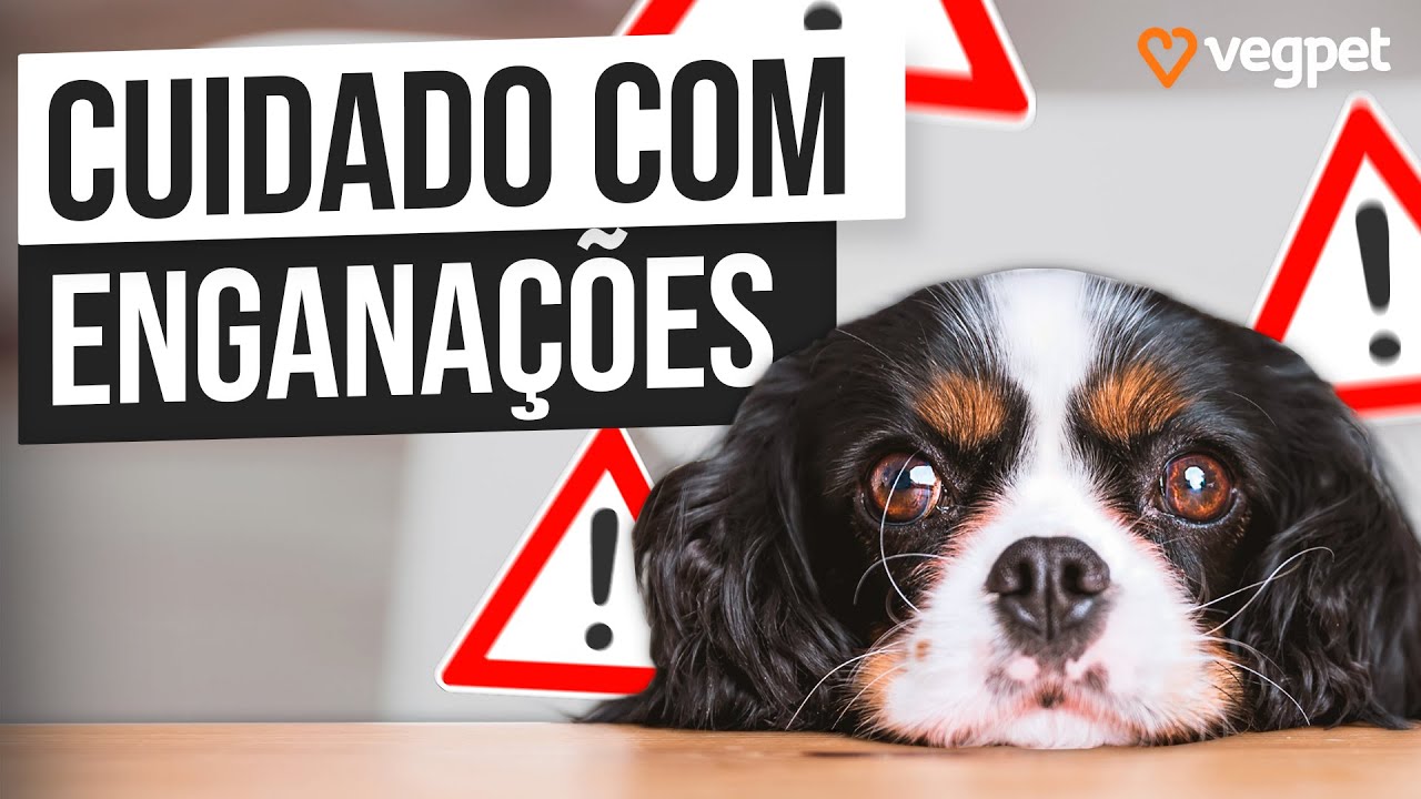 RA&Ccedil;&Atilde;O SUPER PREMIUM | Entenda as Classifica&ccedil;&otilde;es das Ra&ccedil;&otilde;es