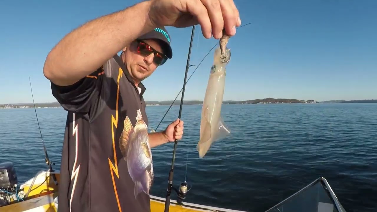 How to catch squid in Lake Macquarie 