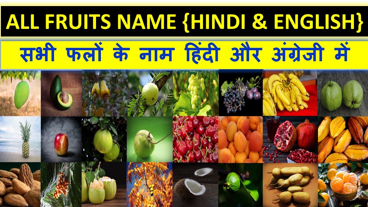 FRUITS NAME IN ENGLISH AND HINDI WITH PDF | सभी फलों के नाम हिंदी और अंग्रेजी में | #fruitsname #NAM