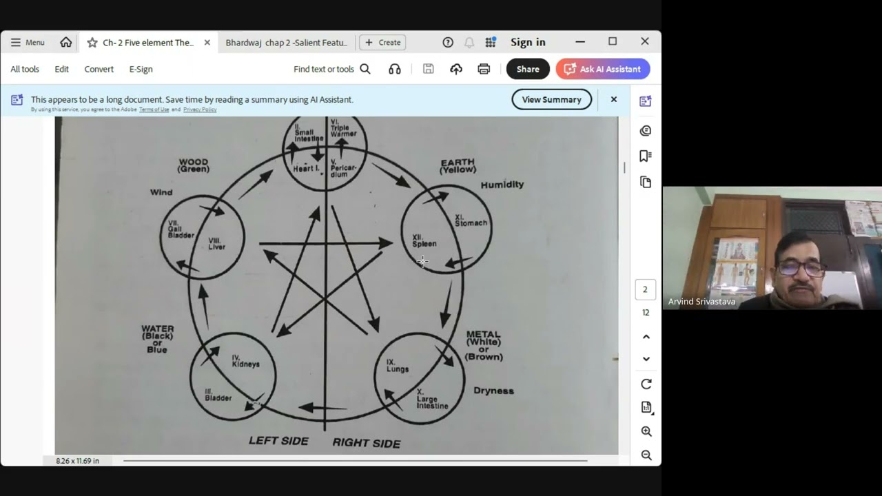 What is Five Element theory and its application  according to Chinese Acupressure dt 6 1 26