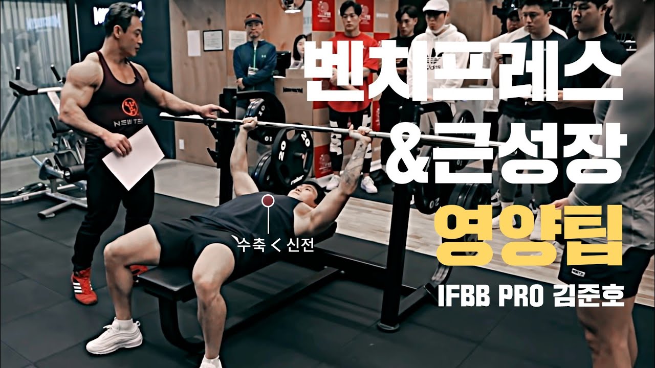 벤치프레스&가슴운동과 근성장 영양 팁:  수축보다 신전 중요, 고강도는 고중량 운동 아니다?! 보디빌더 김준호 I Bench Press IFBB Pro KIM JUN HO