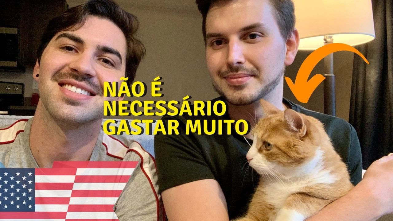 COMO VIAJAR COM SEU GATO PARA OS ESTADOS UNIDOS EM 2022