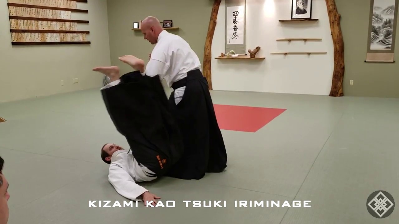DLP Jab Punch Techniques