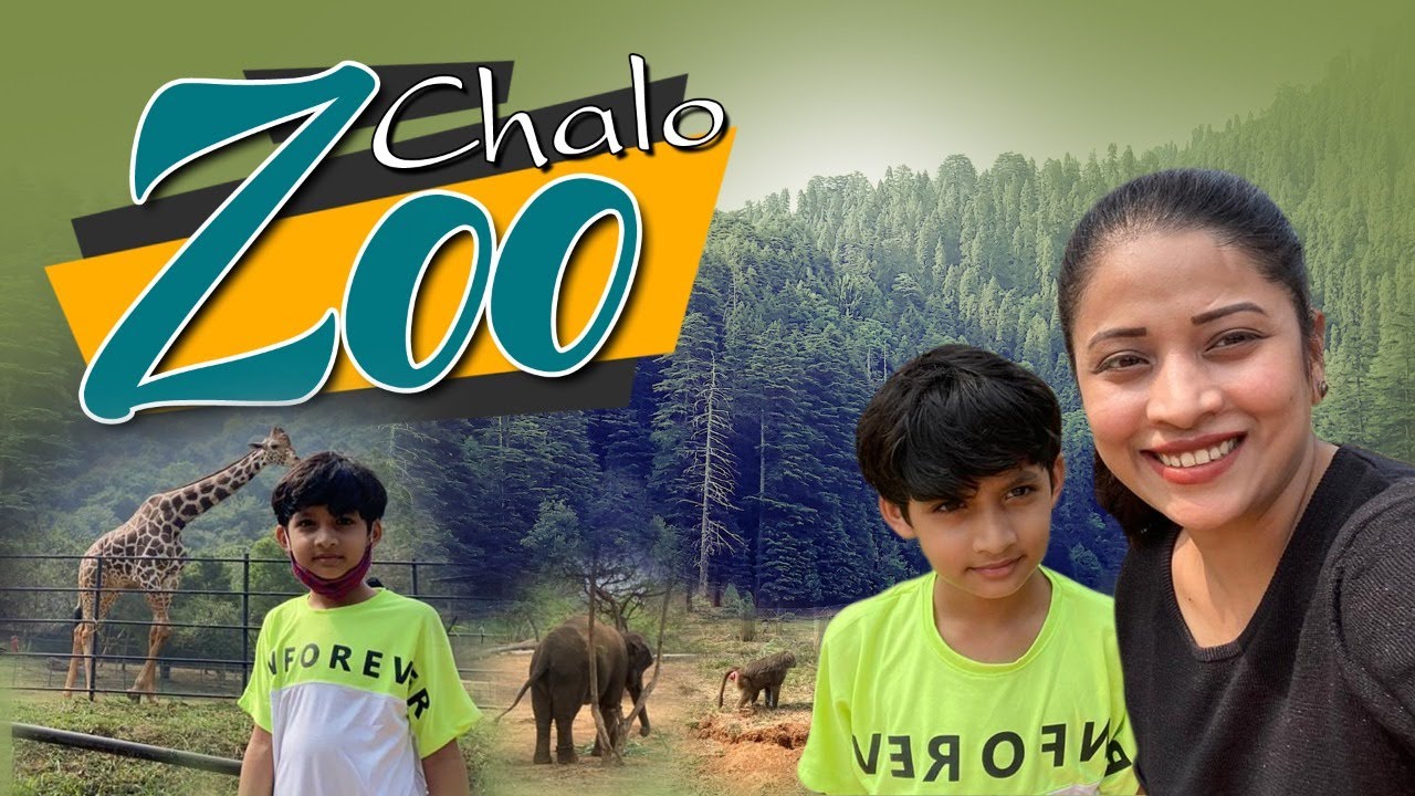 Chalo Zoo Tour | Happy time | Tiger | Elephant| Day outing with son| Vlog| Sushma Kiron