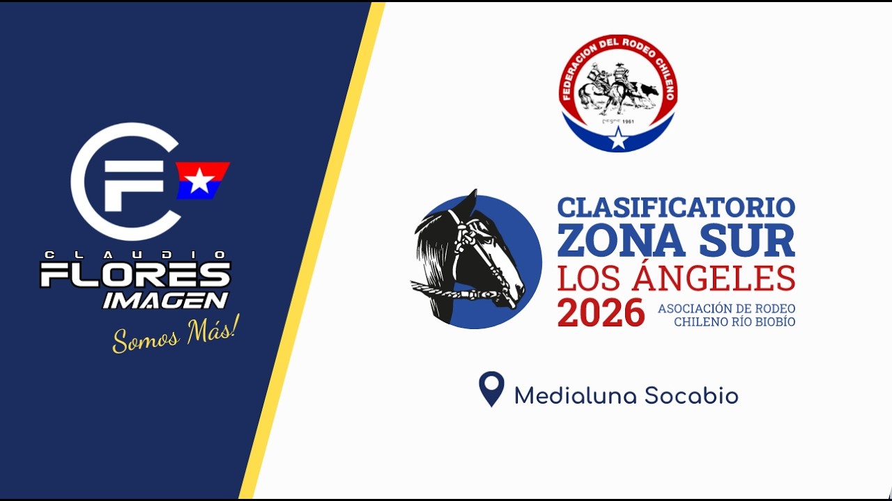 3RA. SERIE LIBRE A - CLASIFICATORIO ZONA SUR - LOS ANGELES 2026