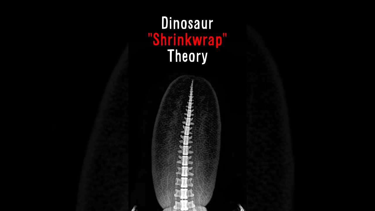 The Horrifying Dinosaur Shrinkwrap Theory 😨