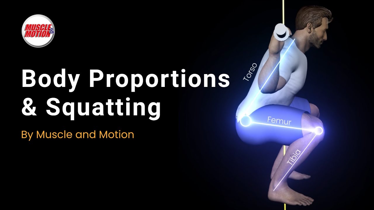 Body Proportions & Squatting: How Limb Length Affects Your Squat
