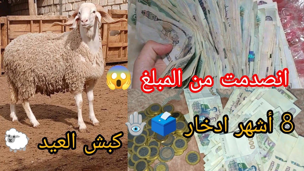 وأخيرا فتحت #حصالة 🗳️💥 #كبش_العيد🐑  إنصدمت من المبلغ 😱🪬