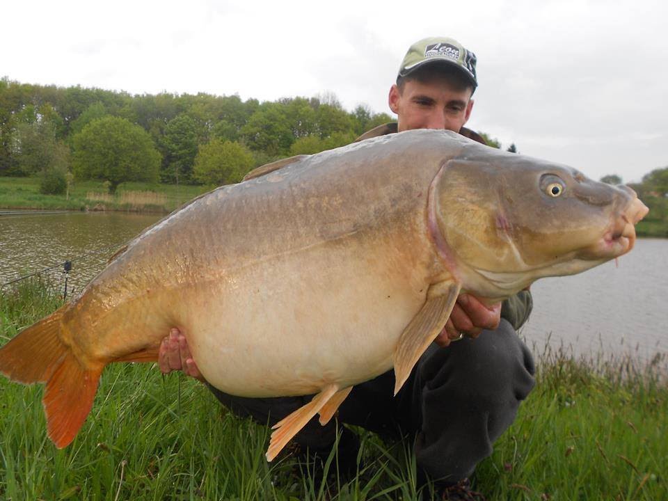 Peche à la carpe . Départ en direct
