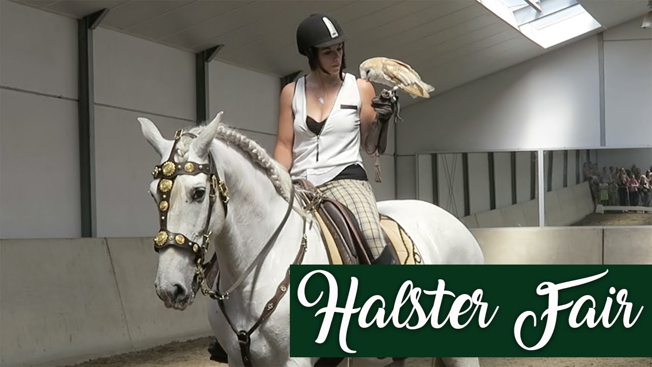 HALSTER FAIR - Manege 't Halster