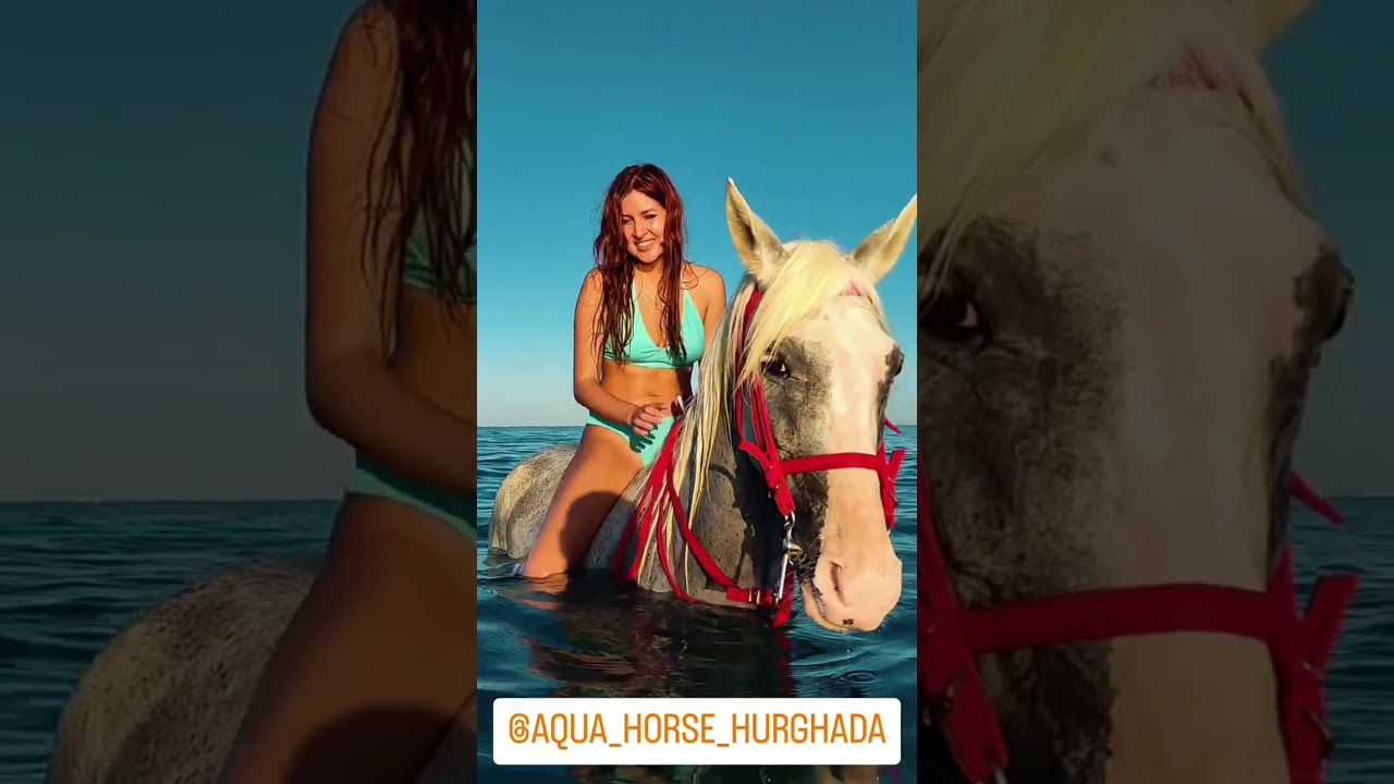 Swimming with horses in Red sea in Hurghada beach #horse #horseback #beach #beautiful #girl
