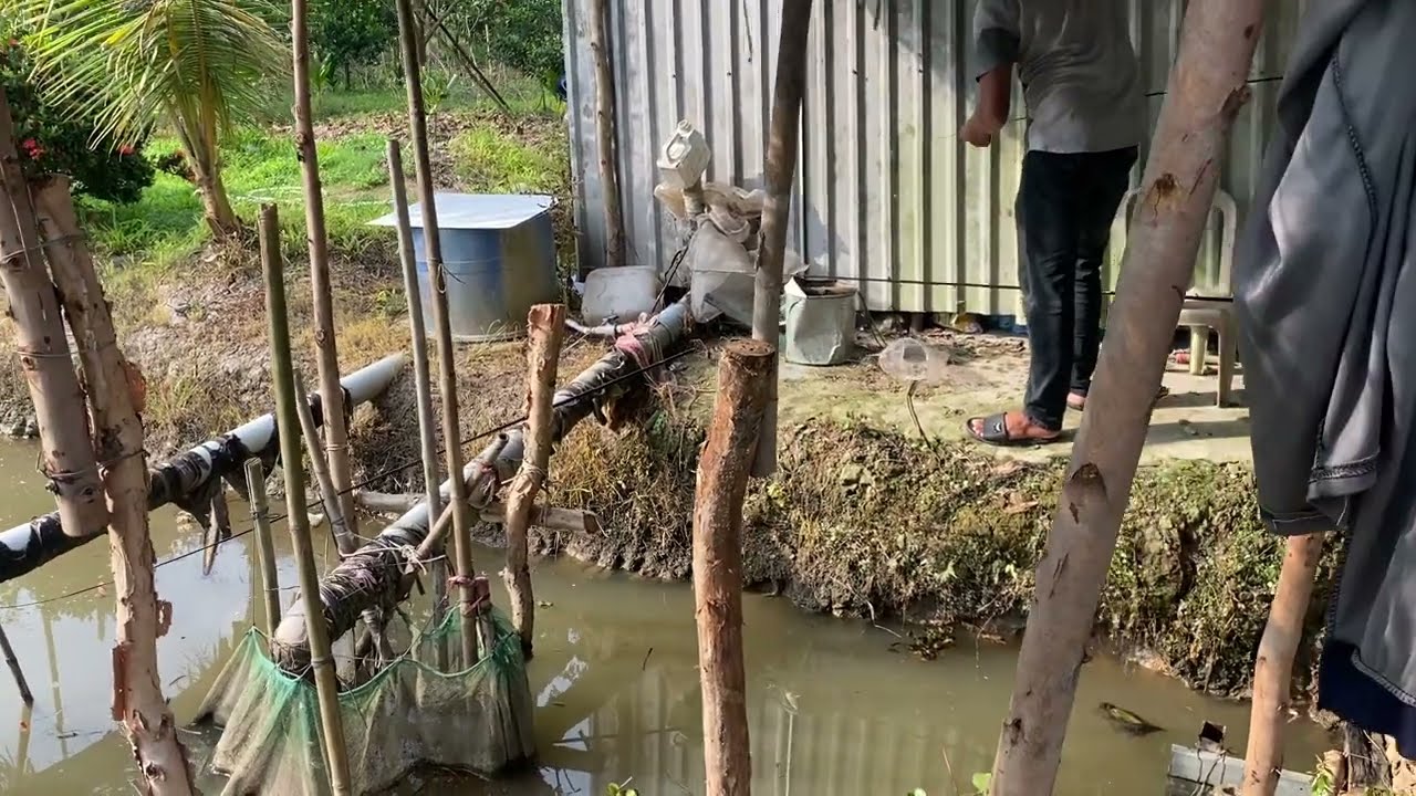 Thạch cương câu cá và cái kết…