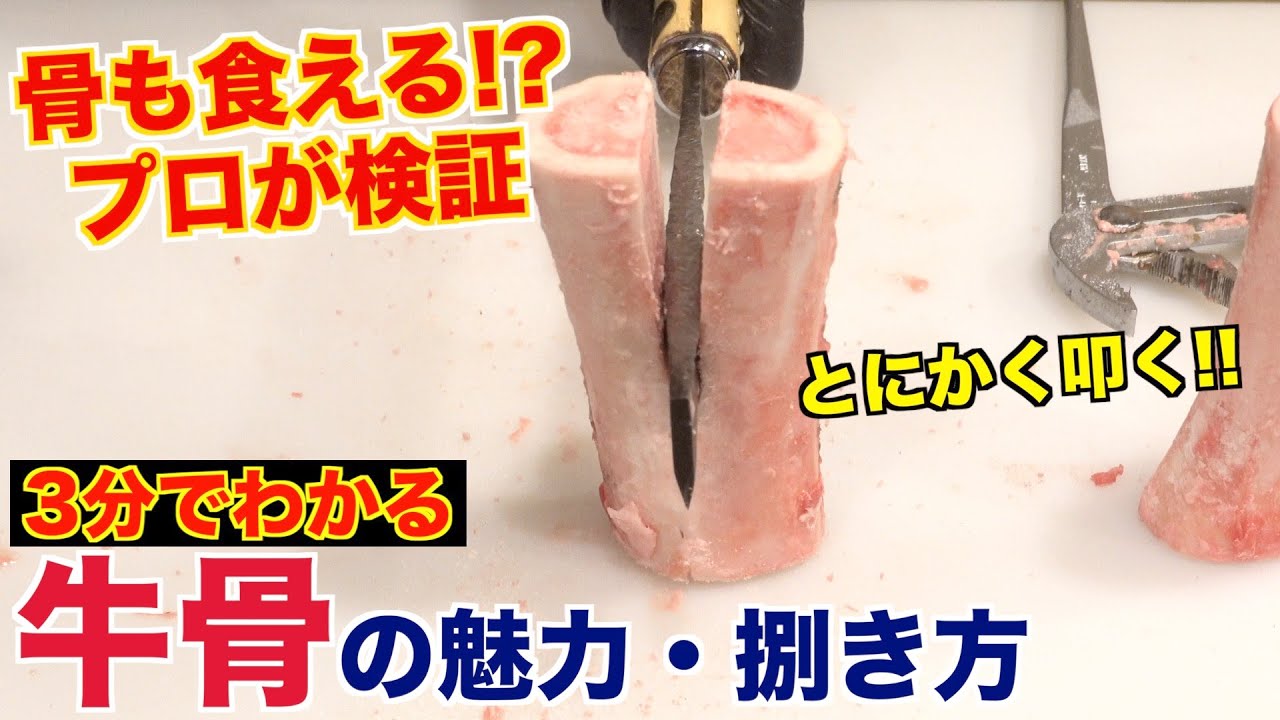 【検証】牛骨食べてみたwww