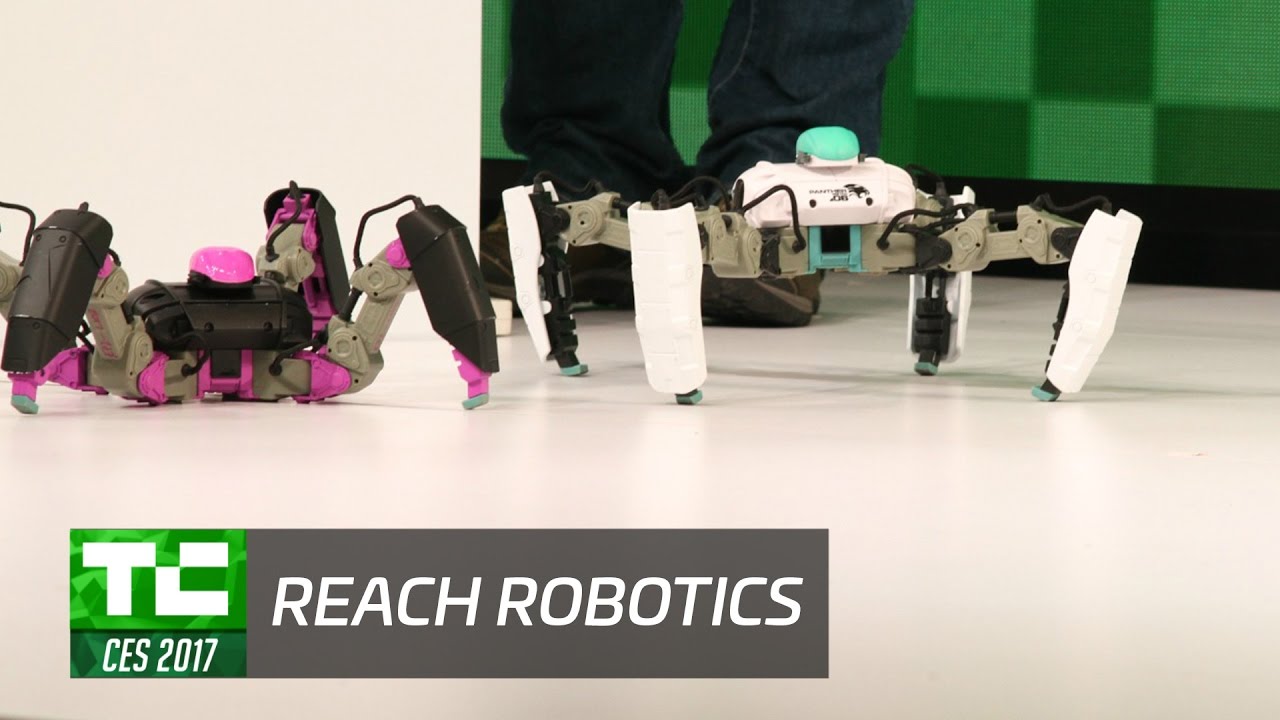 Test Drive with Reach Robotics