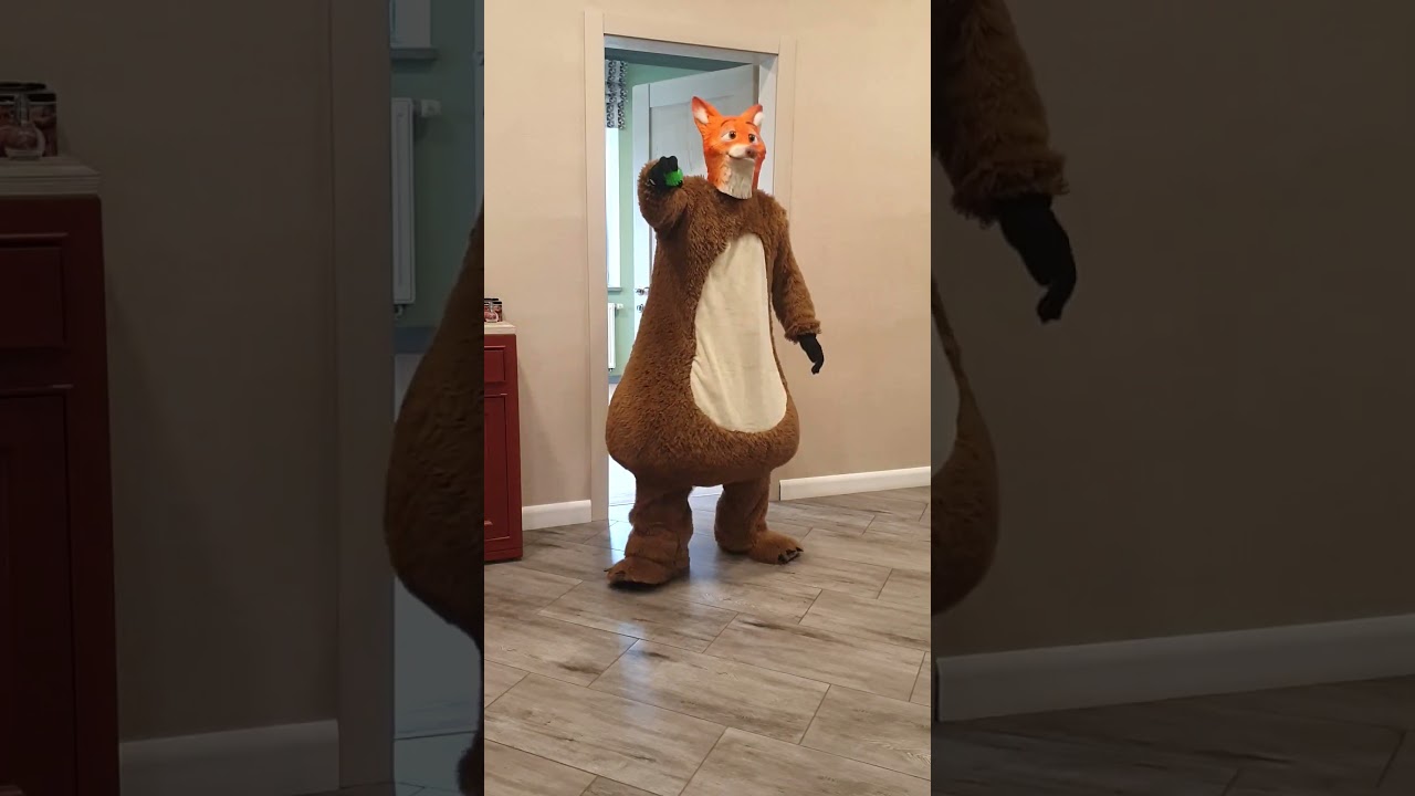 A big fat fox leaves a dog squeaking toy for a little dog