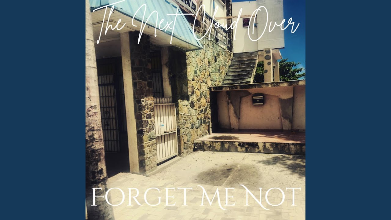 Forget Me Not