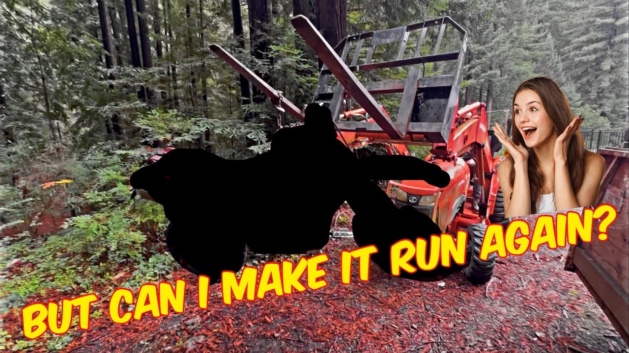 Фермер подарил мне старый мотоцикл, припаркованный в лесу!