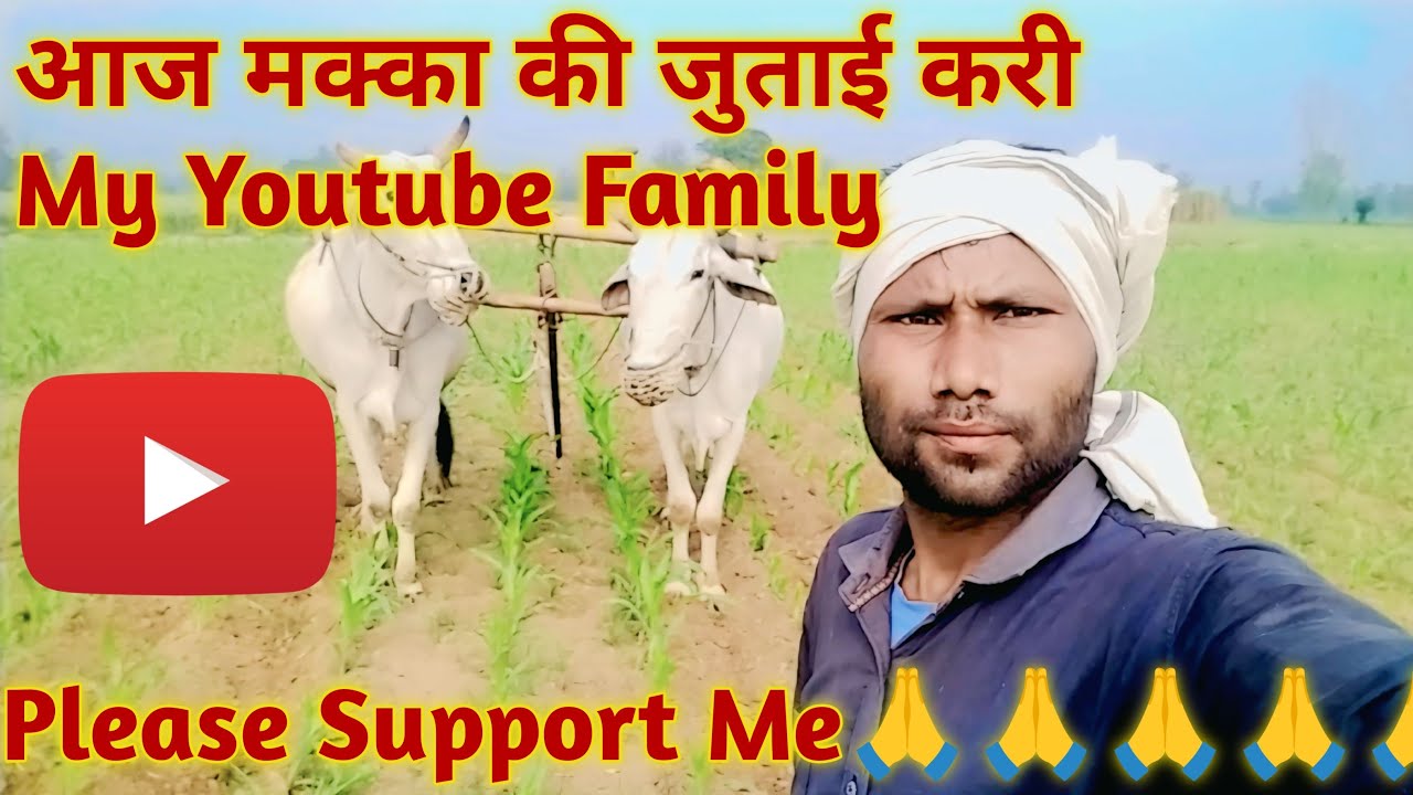 मक्का की जुताई@Dayanand lifestyle