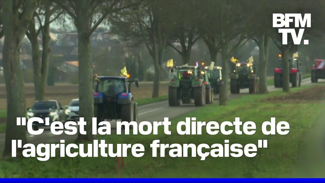 Accord UE-Mercosur: des tracteurs en route vers le Parlement européen