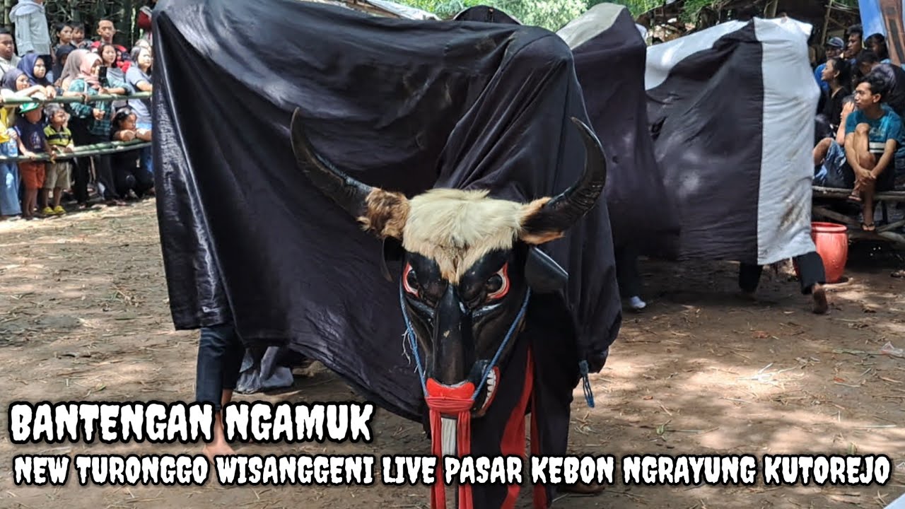 BANTENGAN ‼️ NEW TURONGGO WISANGGENI LIVE PASAR KEBON NGRAYUNG KUTOREJO MOJOKERTO 